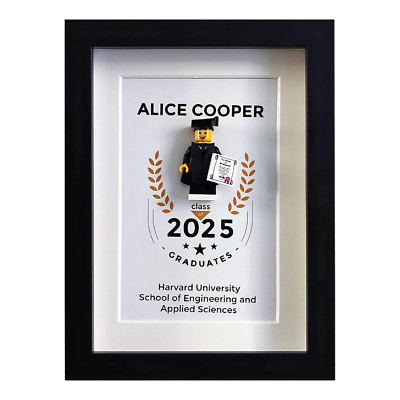 Personalized Graduation Gift, Custom Decor Frame with Minifigure, Class of 2025