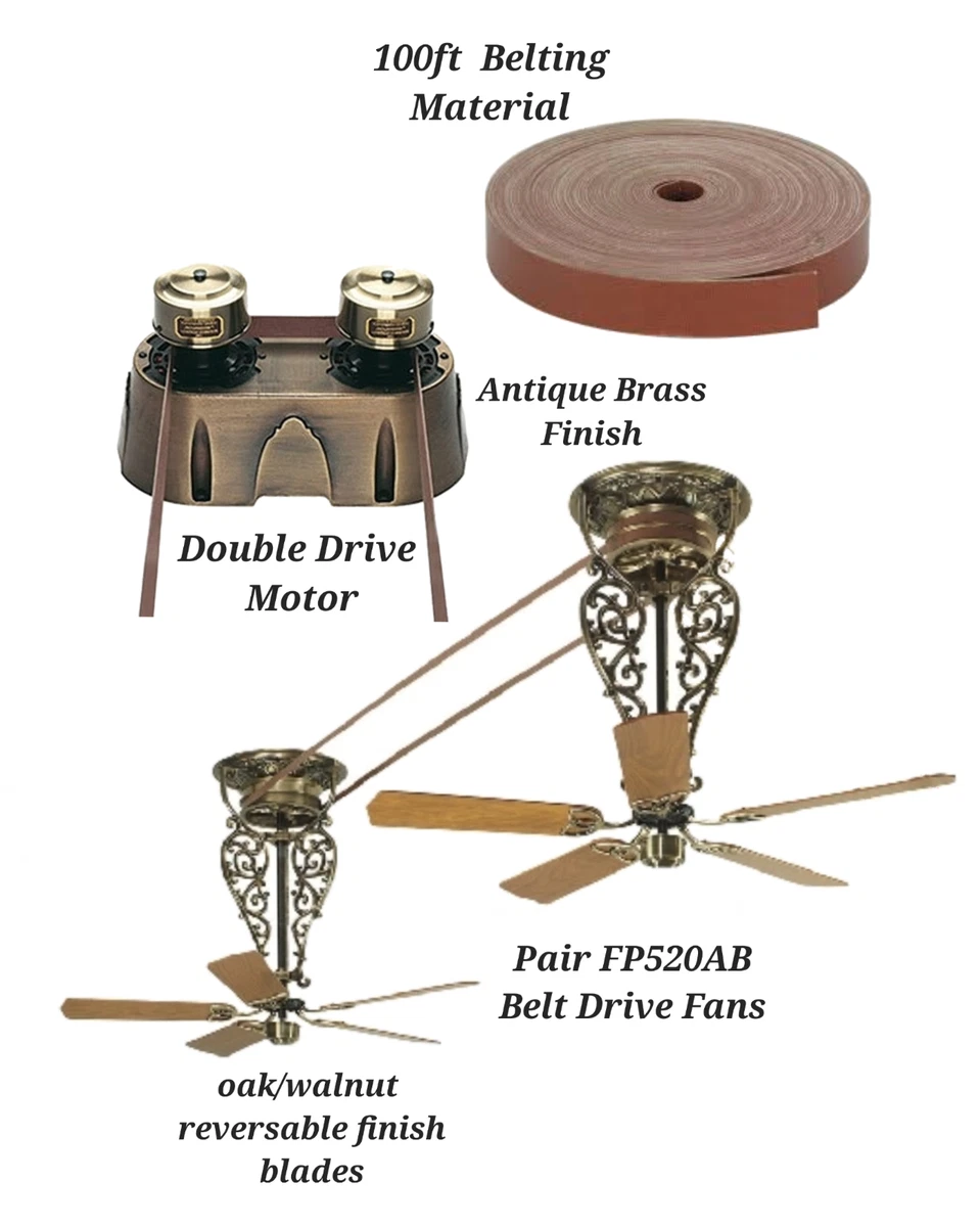Fanimation Ceiling Fan Parts Shelly Lighting