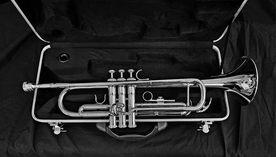 TRUMPET-BANKRUPTCY- STUDENT-INTERMEDIATE-PRO SILVER CONCERT SCHOOL BAND TRUMPETS - Image 4 of 4