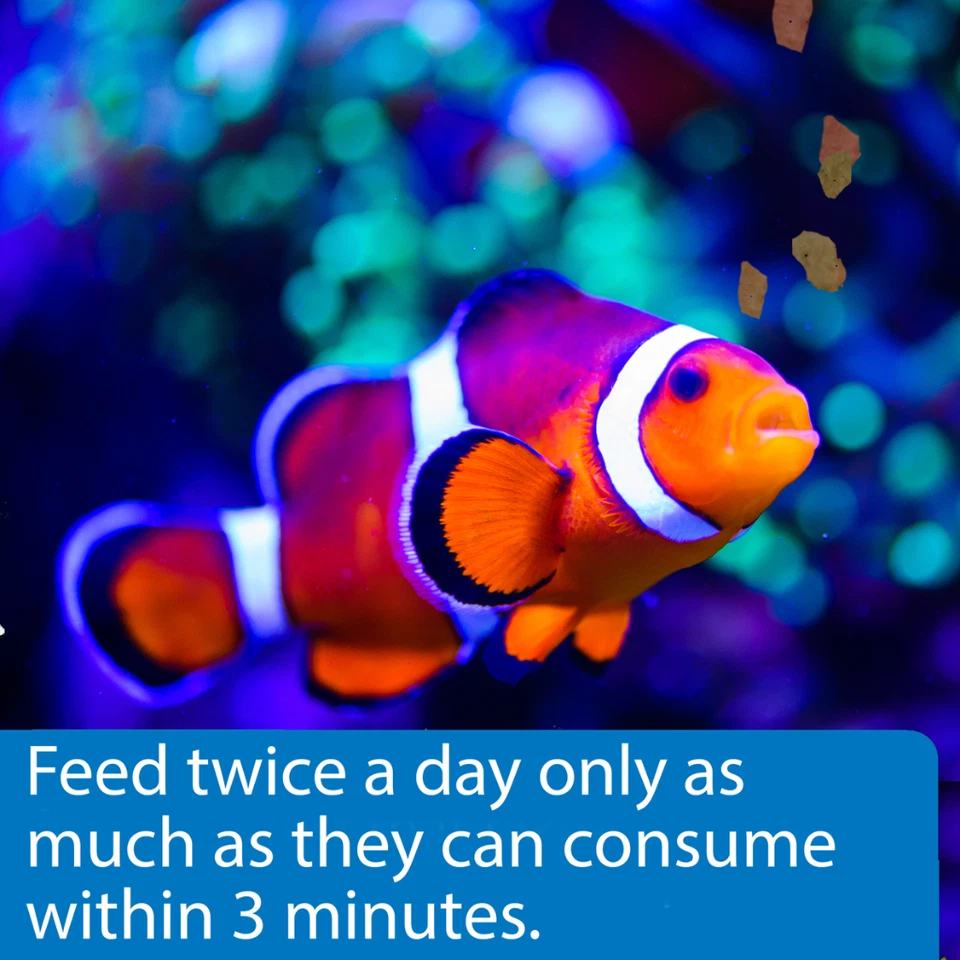 Alimento para peces en escamas marinas API 1,1 OZ peces marinos, peces payaso, wrasses y espigas Foto 4 de 4