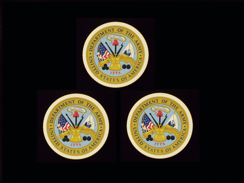 EJÉRCITO DE ESTADOS UNIDOS montañas rusas militares EE. UU. ejército de EE. UU. - Imagen 4 de 7
