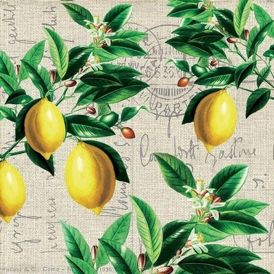 20 Servietten Capri Vintage-Zitronen Früchte Italien Süden Zitronenbaum 33x33cm