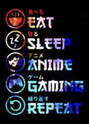DISPLATE METALL POSTER | EAT SLEEP ANIME GAMING DESIGN GLANZ UK NEU 17,7''x 12,6'' 
