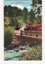 Linen Postcard Scenic Trail Rocky Mountain National Park CO Horseback Riders