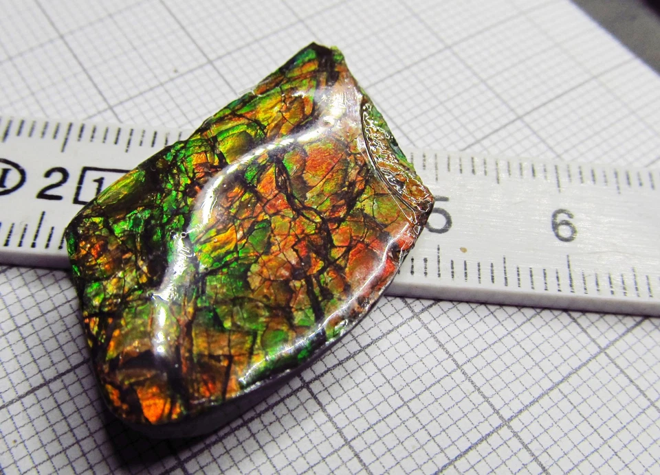 Ammolit, Ammolith, Ammolite Kanada, Maße ca. 28 x 19 x 4,5 mm, Gewicht 25,8 ct! - Bild 4 von 4