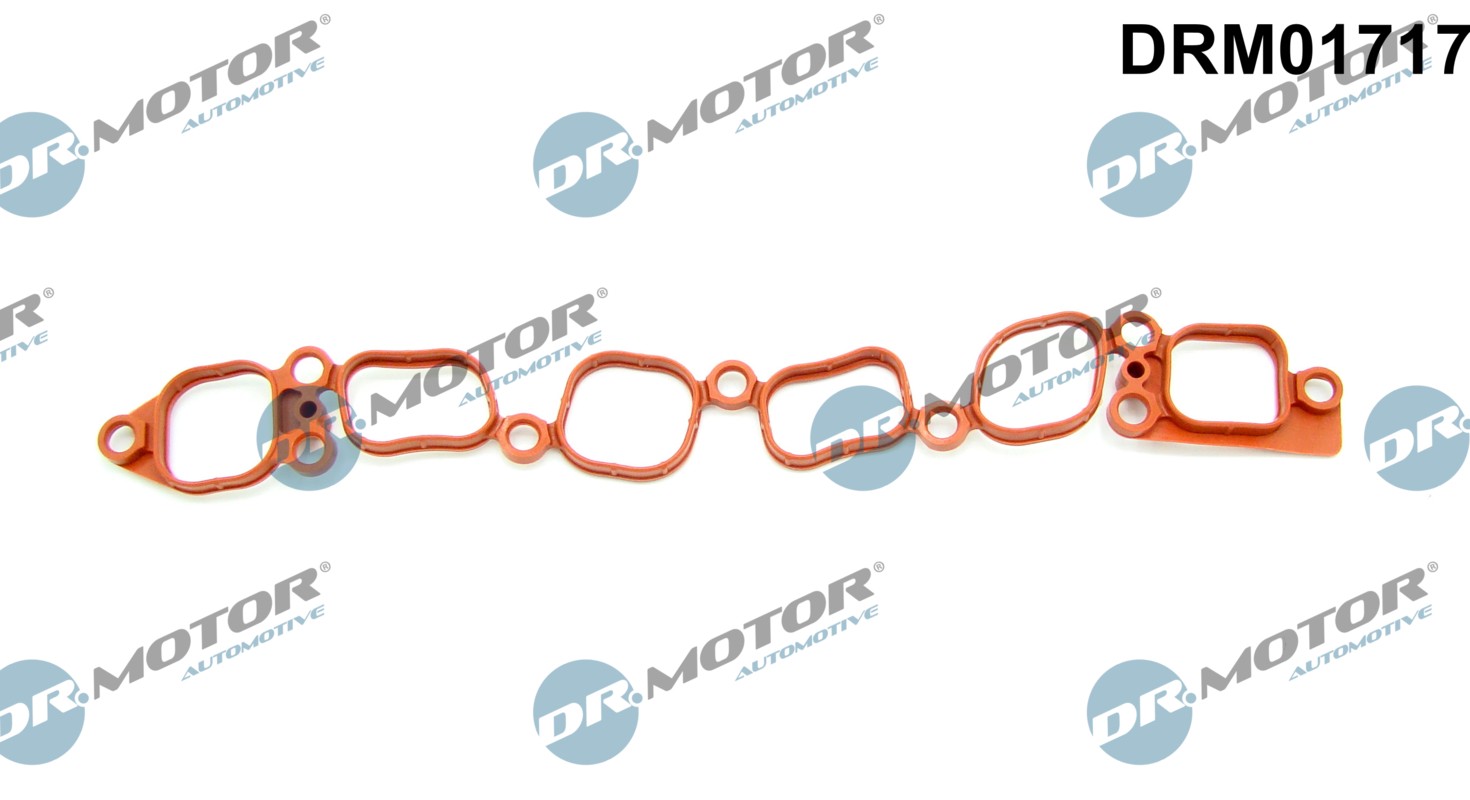 Fits DR MOTOR PRZEWODY PRZELEWOWE DRM01717 INTAKE MANIFOLD GASKET