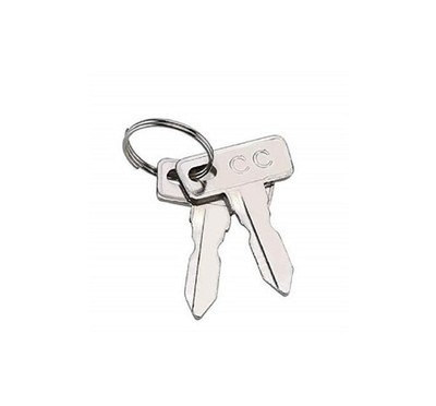 Golf Cart Keys Club Car Replacement (2 Pack) Silver 