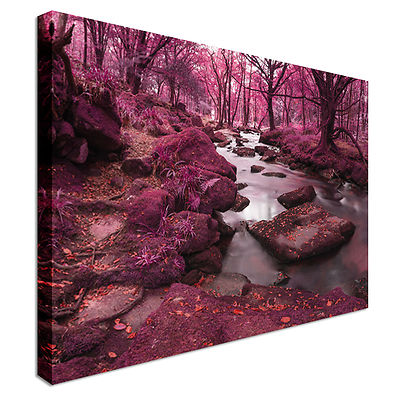 Lila geheimer Wald Leinwand Wandbild Bild Druck