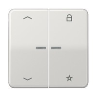 Jung Enet Funk-Steuertaste Fm Cd 1701 P Lg Intelligent FMCD1701PLG Enet