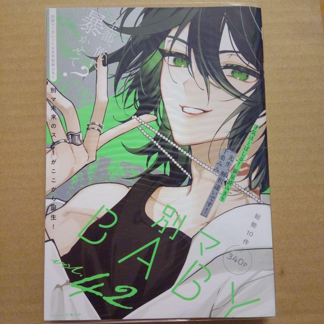Bessatsu Margaret Appendix booklet Bessuma BABY