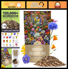 Drought Tolerant Wildflower Seed Mix - 1 lb Bulk, 120K+ Non-GMO Seeds, 21 Specie 151.99 per gallon