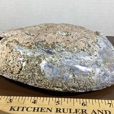 Nice Large 8.5” x 6.5” Pink Abalone Shell Mother Of Pearl Nautical Sea Shell