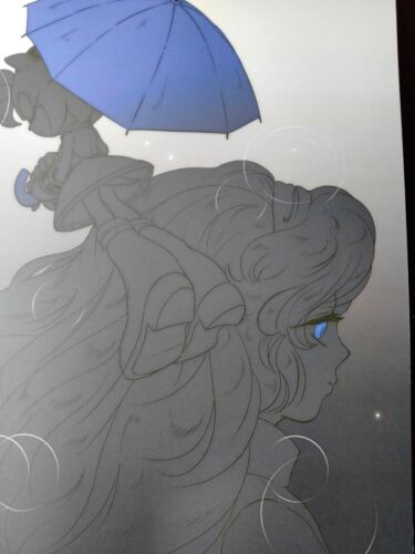 SONIC Doujinshi Shadow X Amy (B5 24pages) Noise of Rain Rose Hip - Picture 2 of 6