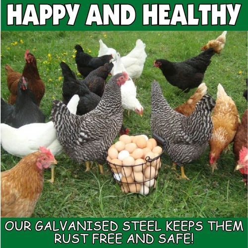 Chicken Feeder small shiny Coop food Aviary RUST FREE 9kg NL8241 Silver Steel - Picture 12 of 14