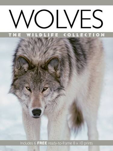 Wolves (Wildlife Collection)