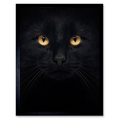 Schwarze Katze Gesicht Nahaufnahme Wandkunstdruck gerahmt 12x16