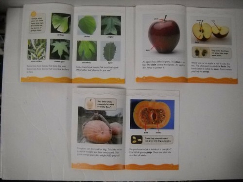 Scholastic Fall 4 Paperback Science Vocabulary Non-Fiction Reader Set Brand New! - Picture 5 of 10