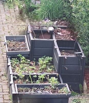 Hochbeet Demeter 2x XL und 2x  L  mit Erde