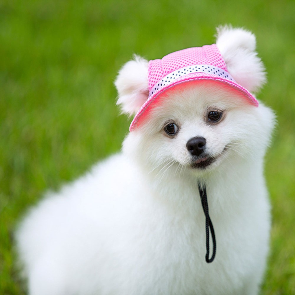 APL Cappello per animali domestici da viaggio decorativo cappello per animali domestici cappelli per cani di piccola taglia