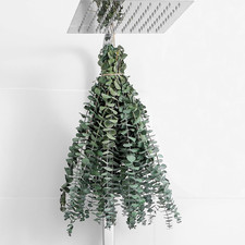 10PCS Dried Eucalyptus Stems 17in Real Shower Wedding Home Decor