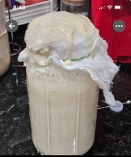236yrs Old Verified Authentic Heritage San Francisco Sourdough Starter