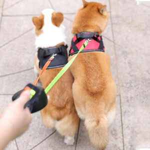 two dog retractable leash