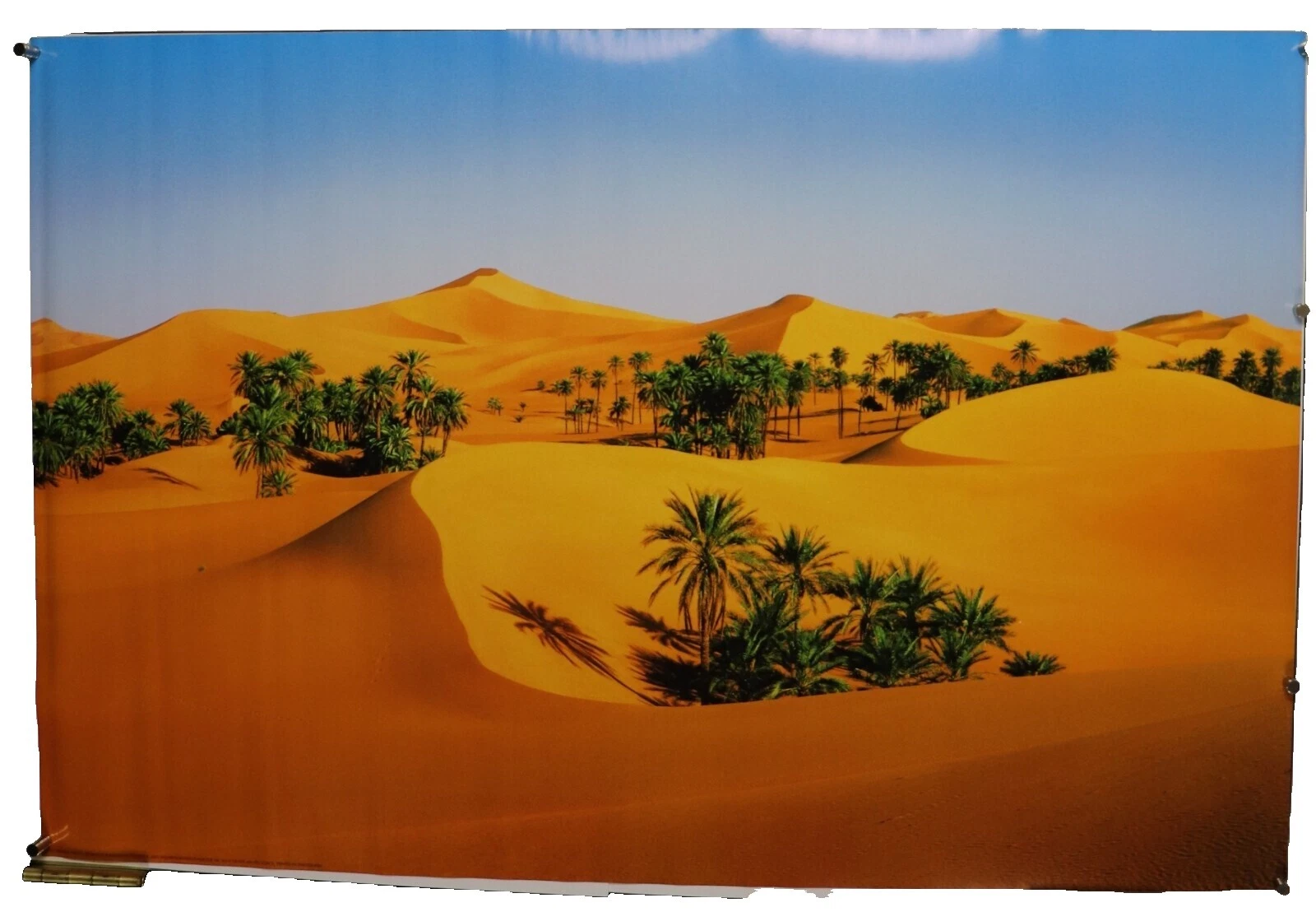 Desert Pop Art afiches y grabados de decoración para el Hogar