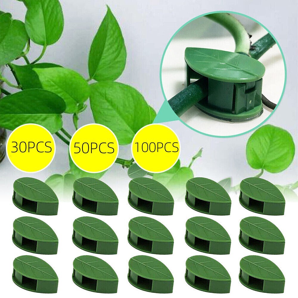 30-100X Sticky Hook Invisible Wall Vines Clip Plant Ties Holder Climbing Fixture