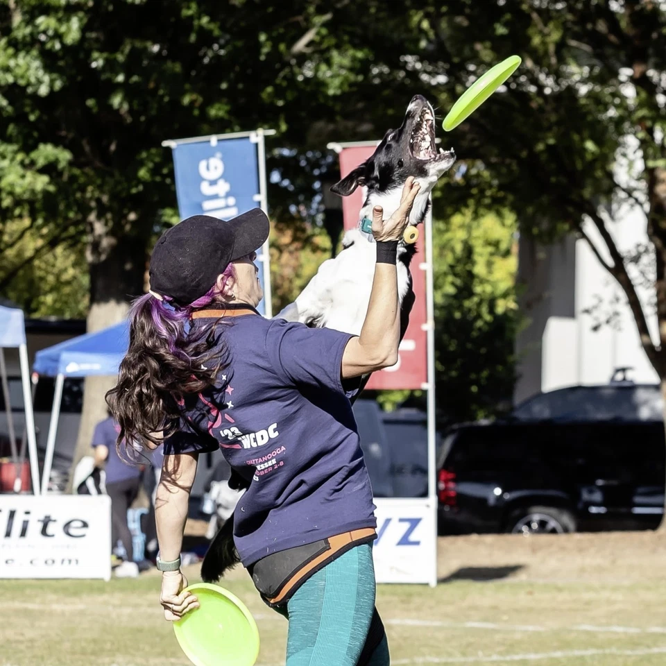 K-10 Jawz Yellow Disc • for Dogs Over 16" • 8.75 Inch / 155 Grams • Puncture ... - Image 3 of 4