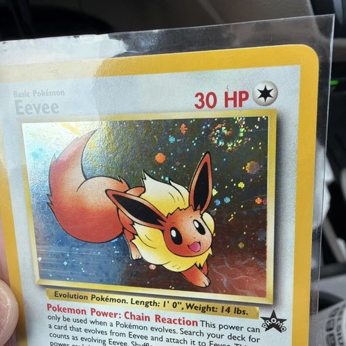 New ListingPokemon 2000 Eevee Black Star Promo #11  🌀 DOUBLE SWIRL 🌀NM