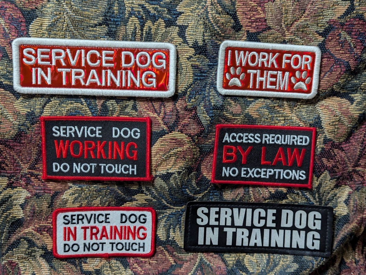 Personal experience, lessons learned, and practical tips