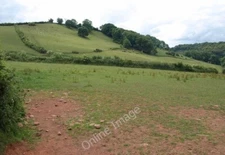 Photo 6x4 Hillside near Gipsy Cross Stawley The hillside is on the south  c2010