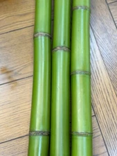 Green Bamboo poles 1 inches round× 24inches length fresh cut And Cured 12 Pack