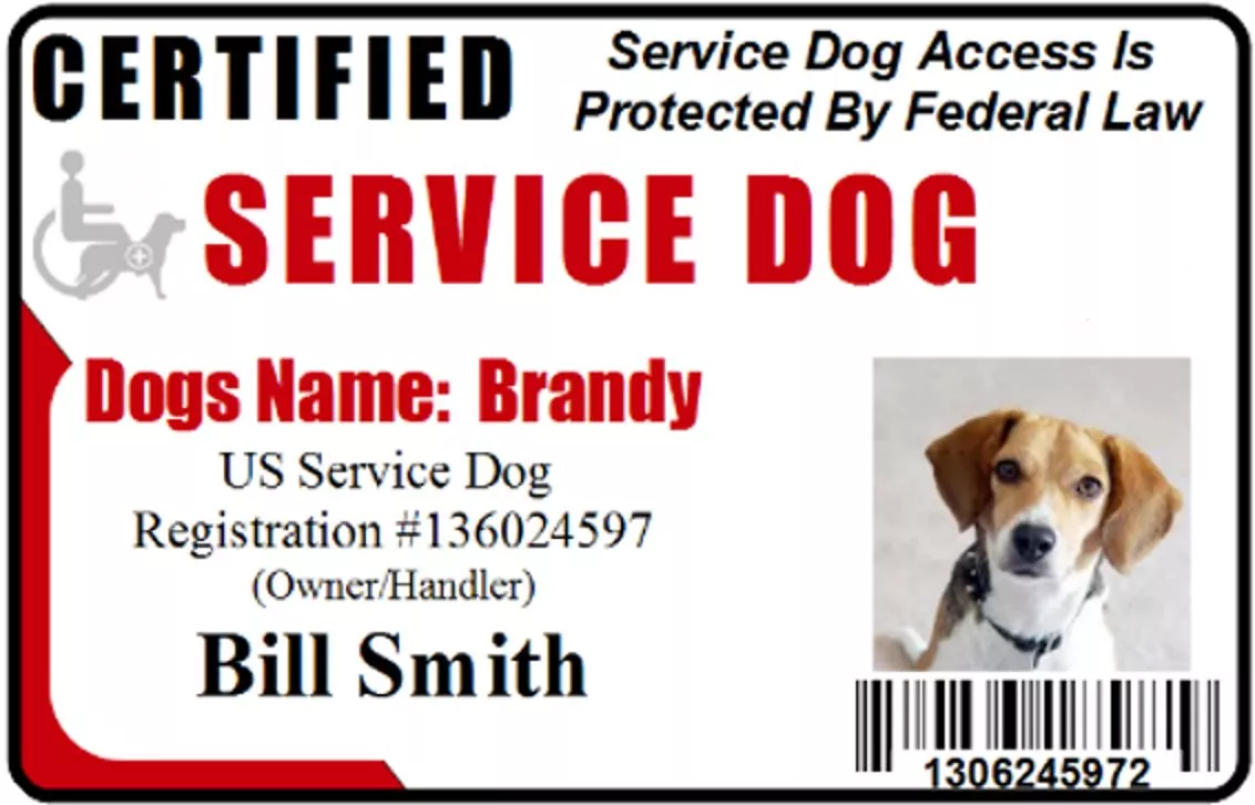 HOLOGRAM SERVICE DOG PET ID CARD BADGE FOR SERVICE ANIMAL