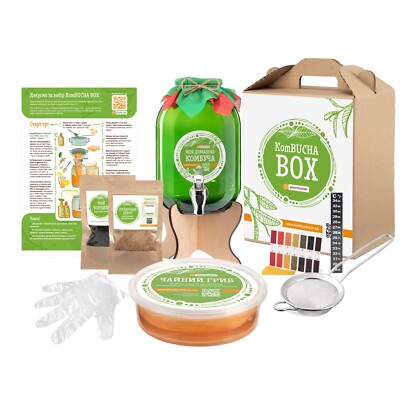 KOMBUCHA Starter Kit EVERYTHING you need to make KOMBUCHA at home FREE SHIPPING