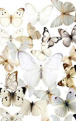 BEAUTIFUL VINYL BUTTERFLY STICKERS 7 7/8''X 5.75'' SHEET #1-T IVORY Fast Shipping