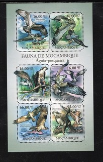 MOZAMBIQUE #2365 2011 BIRDS OF PREY MINT VF NH O.G M/S 6