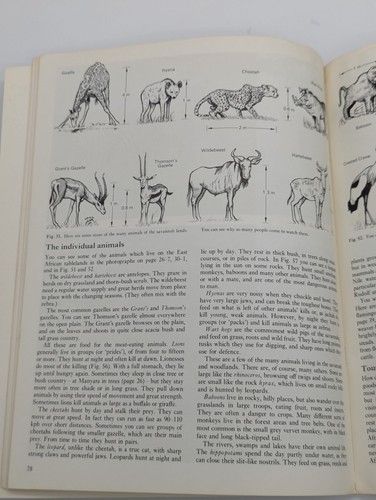Vintage 70'S East Africa in Color by D.C. Money Guide/Geography Book Paperback - Picture 6 of 6