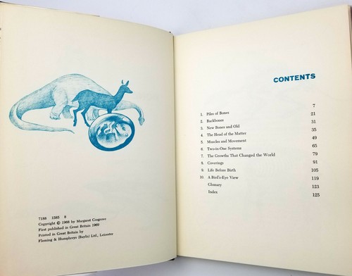 Bone for Bone Margaret Cosgrove 1st Edition 1969 Biology Anatomy Vertebrates YA - Imagen 4 de 7