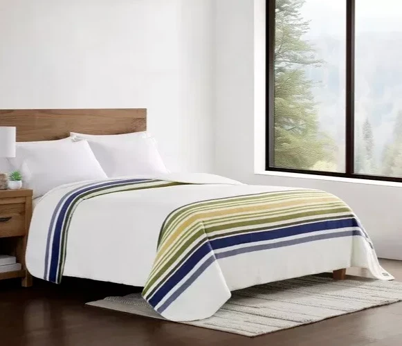 Pendleton Soft Plush Blanket Pinto Basin Queen 98" x 92" Ivory Blue Striped NIP - Image 2 of 4