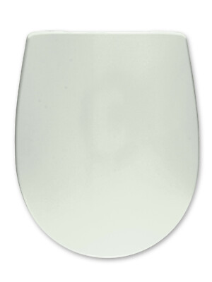 WC Sitz passend Roca Laura Farbe Ägäis Nano Beschichtung wählb.