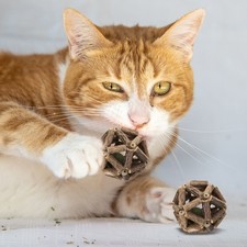 2Pcs 3" Universal Catnip Balls Natural Silvervine Stick Cage Ball