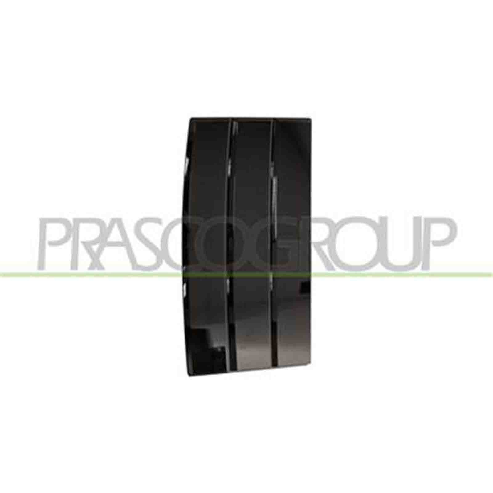 Fregio Porta Sinistra Land Rover Range Rover L405 2012-2017 Premium