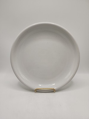 Trend Pacific ''Galaxy Milkstone White'' 10 1/8 Inch Dinner Plate