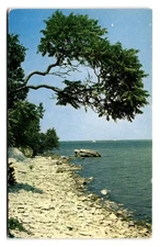 Vintage Lake Shore Scene Postcard by L.H. Butler Litho Chromocast