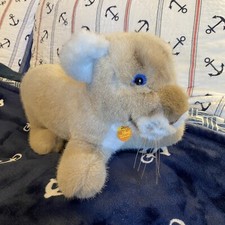 1980 STEIFF DROLLY YOUNG PUMA Cat LYING Blue Eyes 6315/30 FULLY TAGGED Button