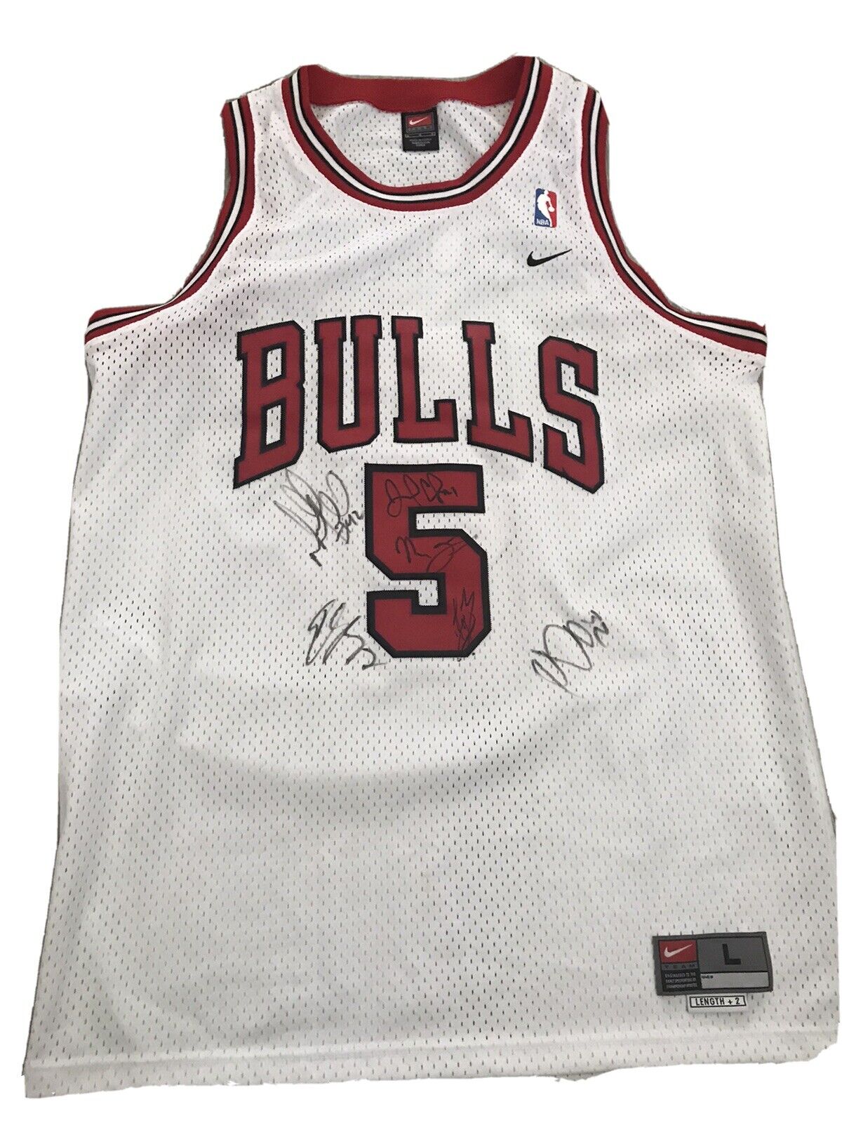 Multiple Autographs 5% OFF Ranking TOP20 Nike Jalen Rose Chicago Swingman Bulls Baske