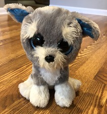 schnauzer beanie boo