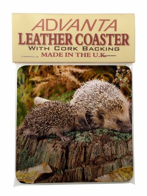 AHE-1K Albino Hedgehog Wildlife Photo Keyring Animal Gift