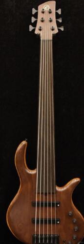 Elrick Gold Series E-Volution 6 Fretless - Picture 1 of 5